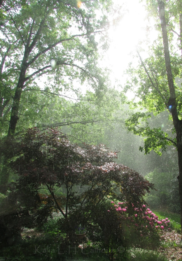 sun and rain 1